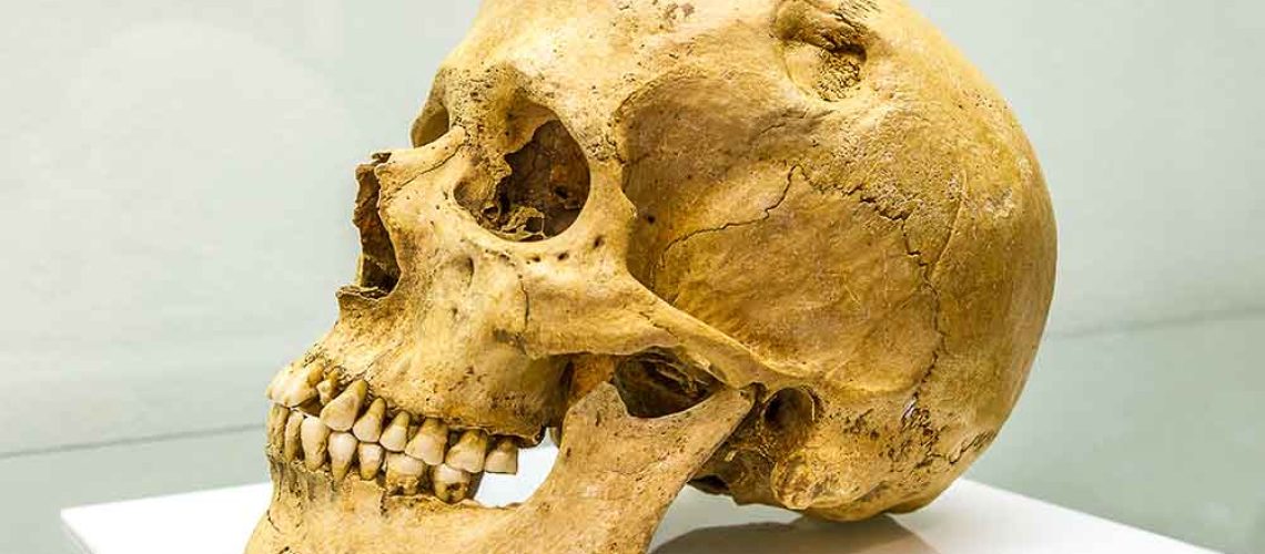 ancient-human-skull-teeth